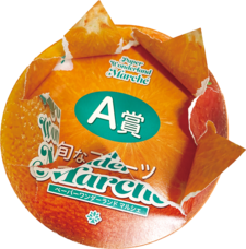 株式会社小松総合印刷のプレスリリース画像1