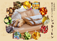 カゴノオトのプレスリリース画像1