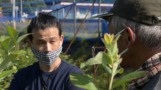 カゴノオトのプレスリリース画像2