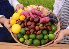 カゴノオトのプレスリリース画像2