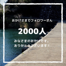 カゴノオトのプレスリリース画像1