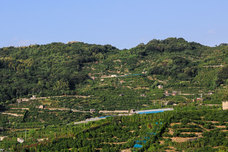 JAにしうわ　西宇和農業協同組合のプレスリリース画像10