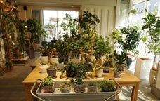 八尾木材工芸株式会社のプレスリリース画像1