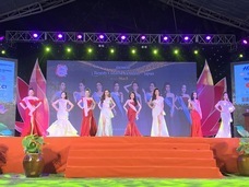 株式会社ブレインワークスのプレスリリース画像4