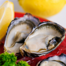 日本酒応援団 株式会社のプレスリリース画像1