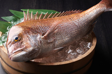 株式会社KRホールディングス/かごの屋のプレスリリース画像6