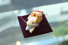 株式会社 香雅堂のプレスリリース画像4