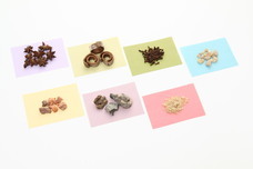 株式会社 香雅堂のプレスリリース画像6