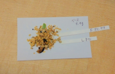 株式会社 香雅堂のプレスリリース画像2