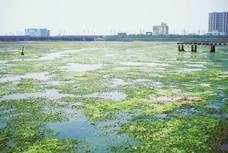 ユニーク地産プロジェクト SPUITのプレスリリース画像5