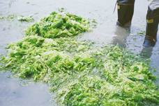 ユニーク地産プロジェクト SPUITのプレスリリース画像4