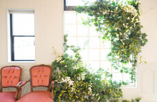 有限会社いりそ写真館のプレスリリース画像1