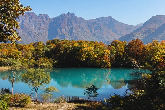 エクスポート・ジャパン株式会社のプレスリリース画像6