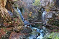 エクスポート・ジャパン株式会社のプレスリリース画像4