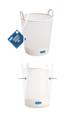 株式会社ケンエレファントのプレスリリース画像3