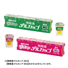 株式会社ケンエレファントのプレスリリース画像4