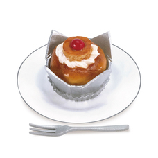 株式会社ケンエレファントのプレスリリース画像7