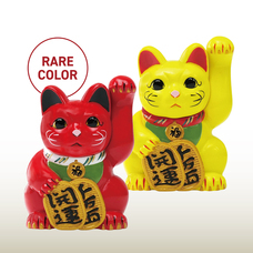 株式会社ケンエレファントのプレスリリース画像7