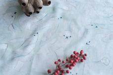 株式会社ケンエレファントのプレスリリース画像6