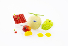 株式会社ケンエレファントのプレスリリース画像1