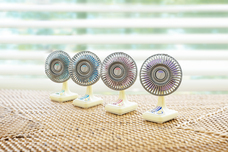 株式会社ケンエレファントのプレスリリース画像1