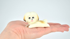 株式会社ケンエレファントのプレスリリース画像13