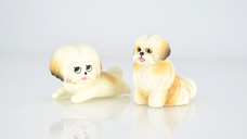 株式会社ケンエレファントのプレスリリース画像5