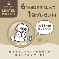 株式会社ケンエレファントのプレスリリース画像2