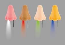 株式会社ケンエレファントのプレスリリース画像2