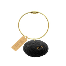 株式会社ケンエレファントのプレスリリース画像11