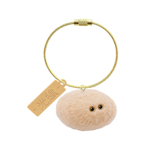 株式会社ケンエレファントのプレスリリース画像10