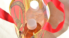 株式会社ケンエレファントのプレスリリース画像12