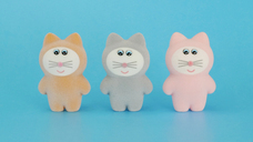 株式会社ケンエレファントのプレスリリース画像12