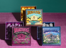 株式会社ケンエレファントのプレスリリース画像6