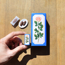 株式会社ケンエレファントのプレスリリース画像12