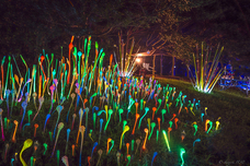 株式会社ケンエレファントのプレスリリース画像5