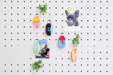 株式会社ケンエレファントのプレスリリース画像7