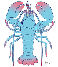 株式会社ケンエレファントのプレスリリース画像2