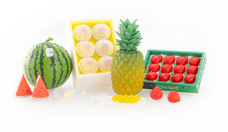 株式会社ケンエレファントのプレスリリース画像2