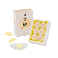 株式会社ケンエレファントのプレスリリース画像4