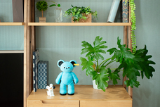 株式会社ケンエレファントのプレスリリース画像12