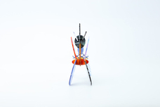 株式会社ケンエレファントのプレスリリース画像4