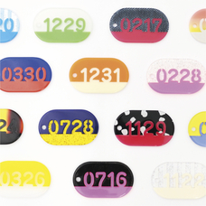 株式会社ケンエレファントのプレスリリース画像2