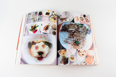 株式会社ケンエレファントのプレスリリース画像5