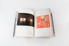 株式会社ケンエレファントのプレスリリース画像10