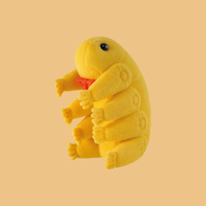 株式会社ケンエレファントのプレスリリース画像4