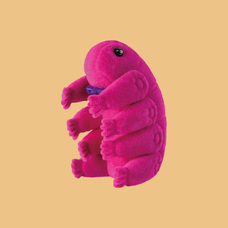 株式会社ケンエレファントのプレスリリース画像5