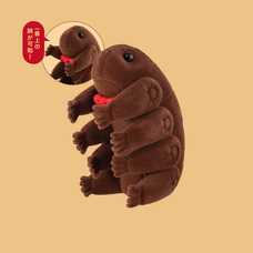 株式会社ケンエレファントのプレスリリース画像2