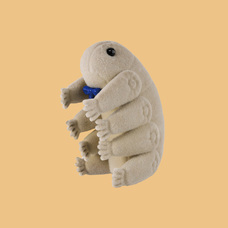 株式会社ケンエレファントのプレスリリース画像3