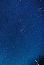 株式会社ケンエレファントのプレスリリース画像4